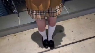 免费一区日本在线观看